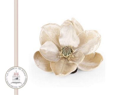 Magnolia Giallo Paglierino